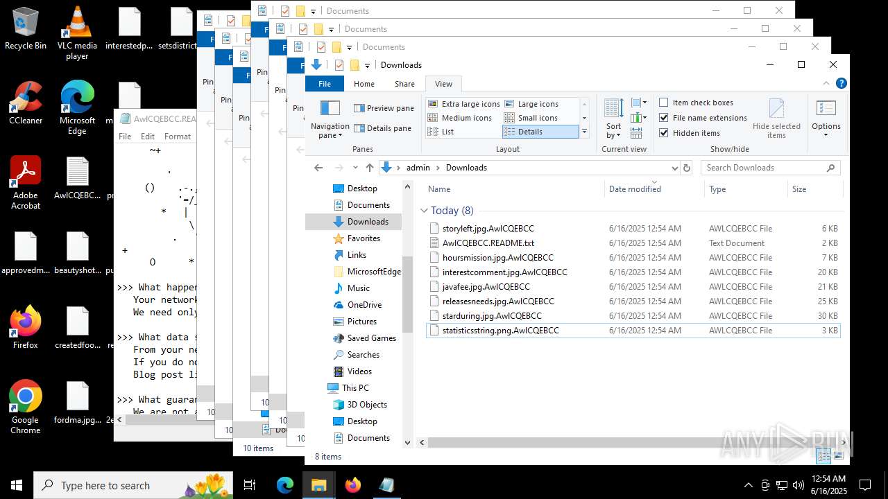【楽天スーパーセール】 Malware analysis その他