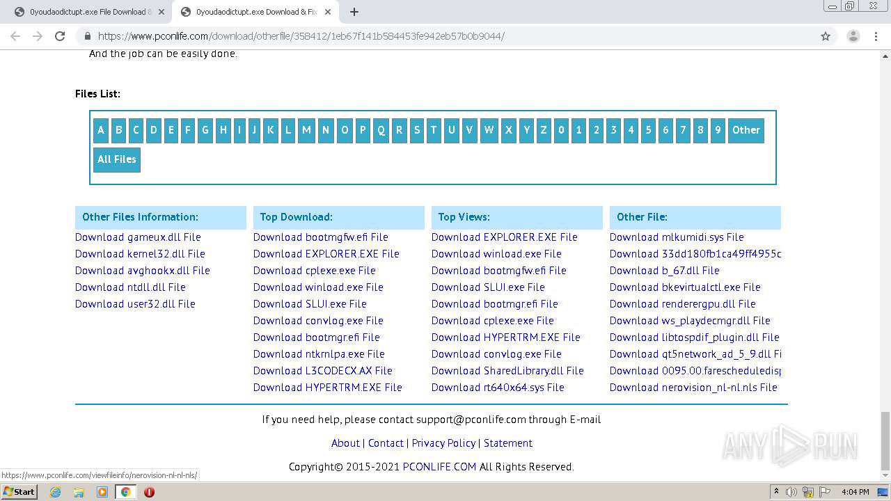 Malware Analysis.