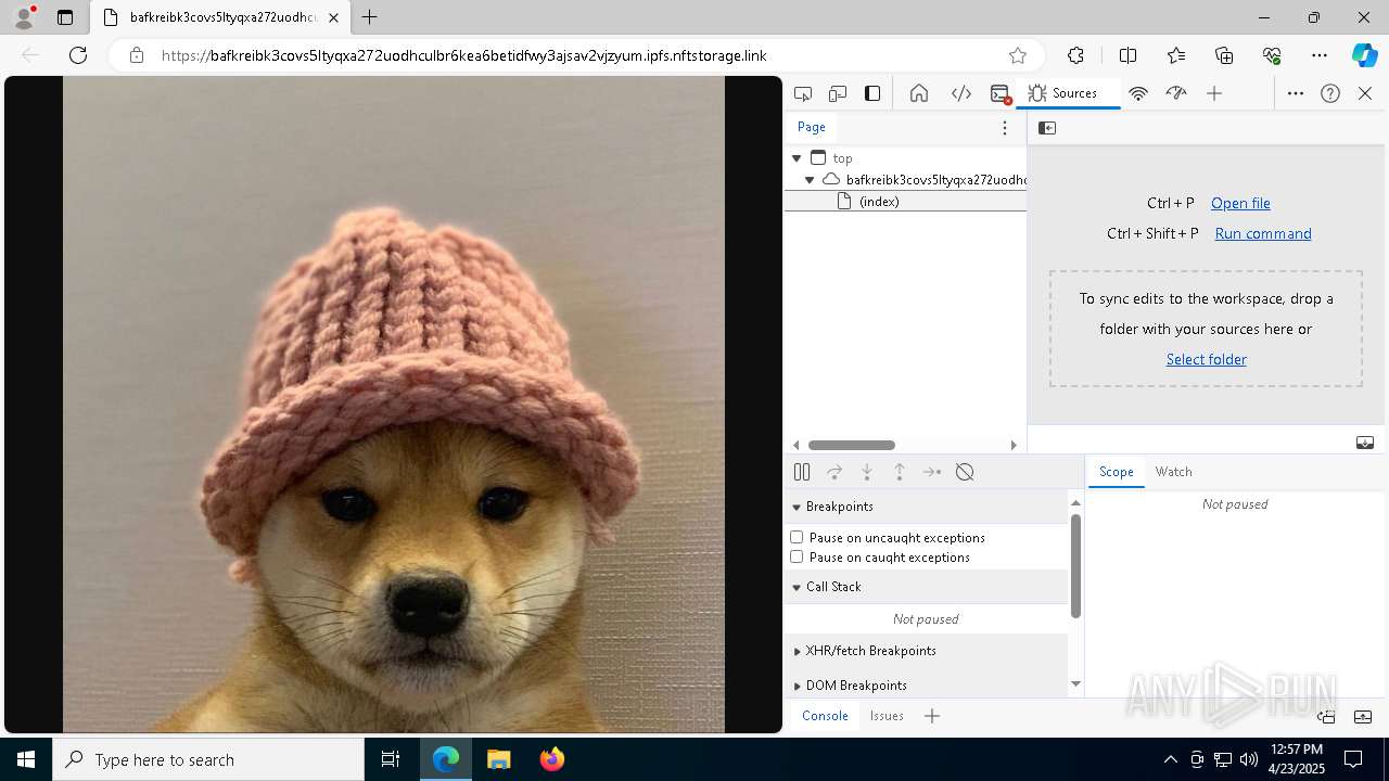 Malware analysis