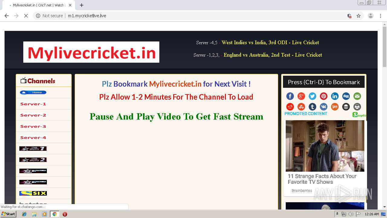 my live cricket net
