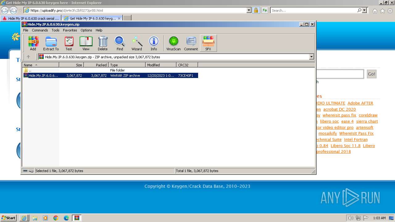 Malware Analysis.