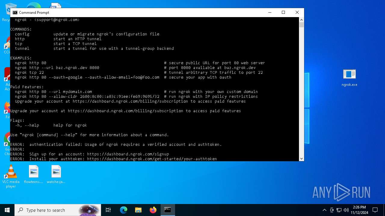 Malware analysis
