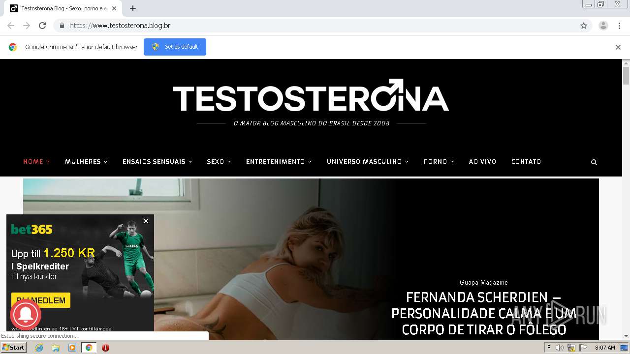 Blog testosterona