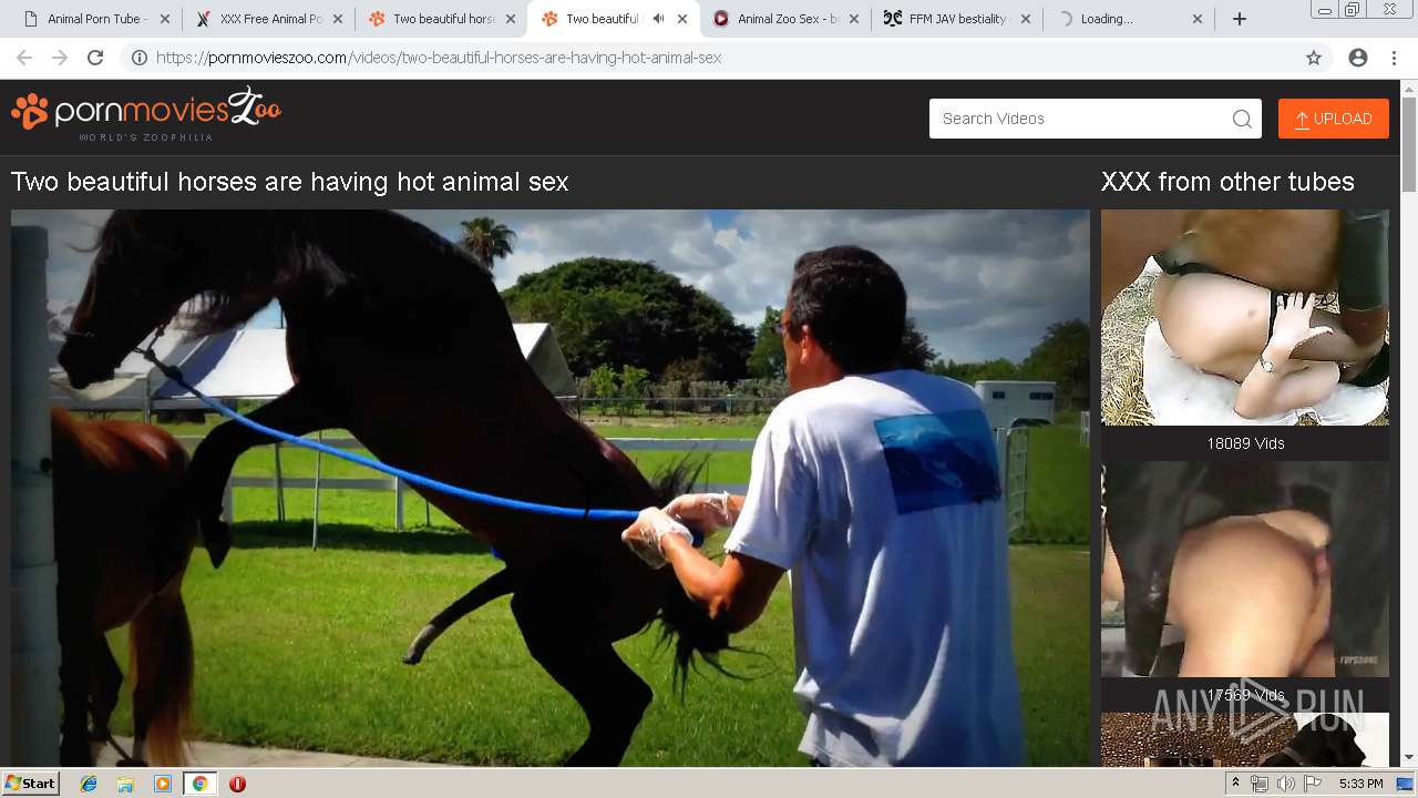 Malware analysis http://animalpornotube.com/ No threats detected | ANY.RUN  - Malware Sandbox Online