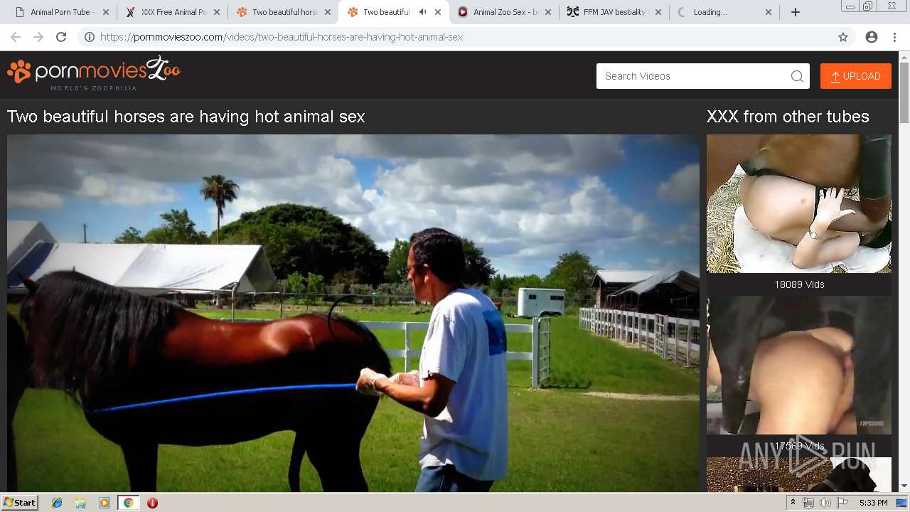 Malware analysis http://animalpornotube.com/ No threats detected | ANY.RUN  - Malware Sandbox Online