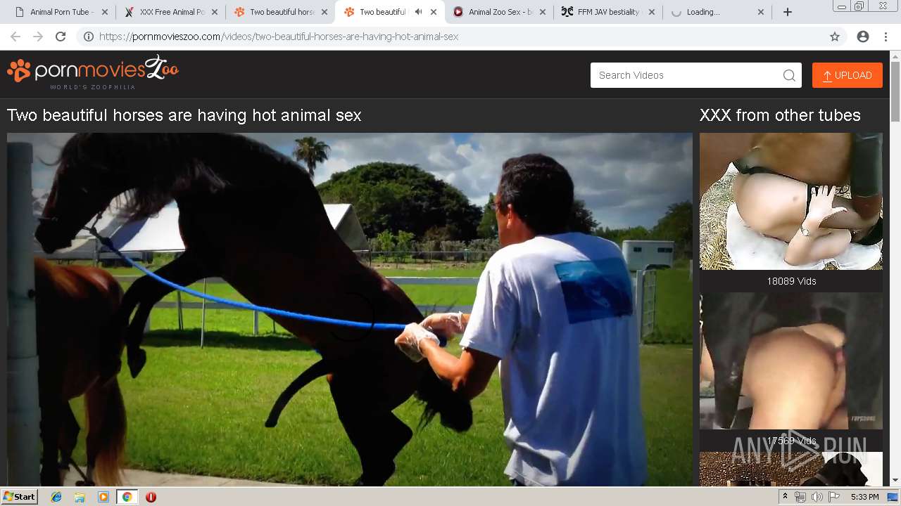 Malware analysis http://animalpornotube.com/ No threats detected | ANY.RUN  - Malware Sandbox Online
