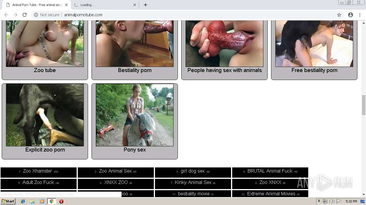 Malware analysis http://animalpornotube.com/ No threats detected | ANY.RUN  - Malware Sandbox Online