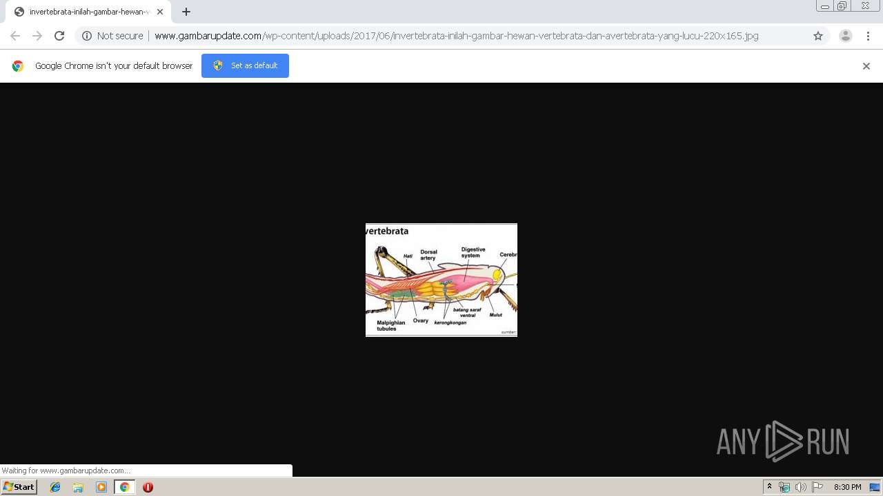 Http Www Gambarupdate Com Wp Content Uploads 2017 06