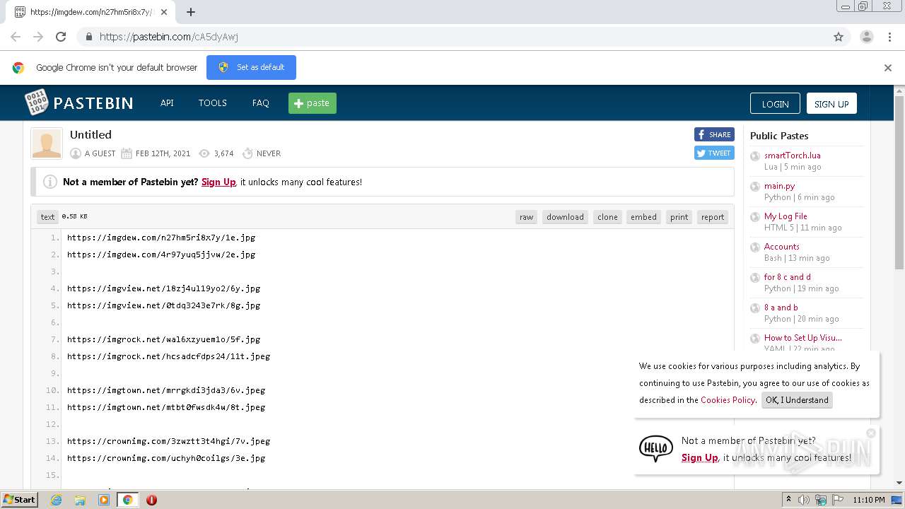 Malware analysis Malicious activity