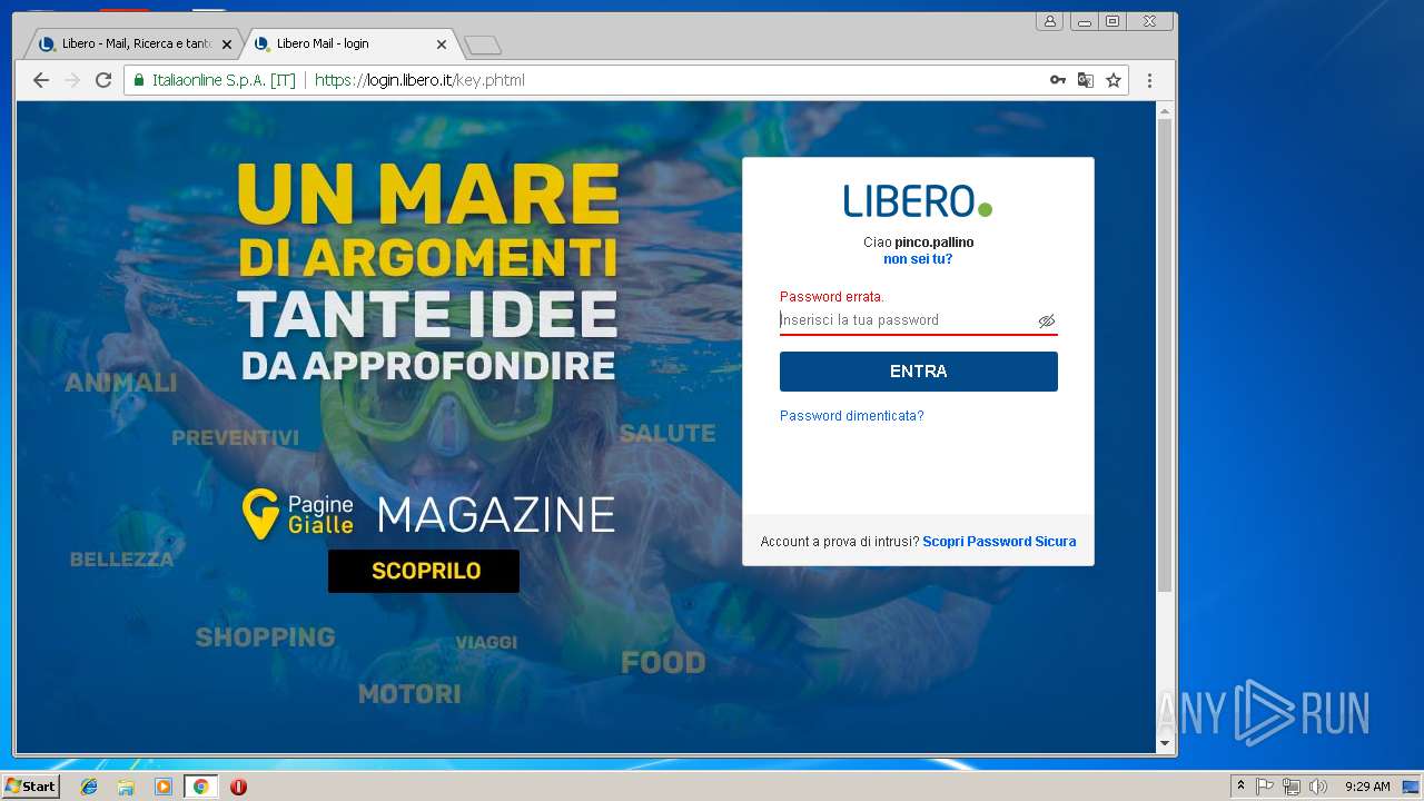 pagine gialle btc