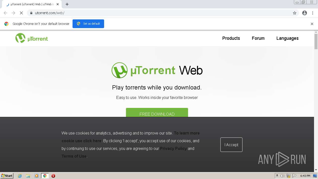 Malware Analysis Malicious Activity.