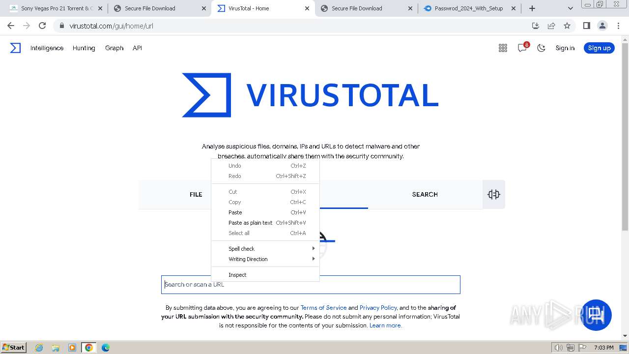Malware Analysis Malicious Activity | ANY.