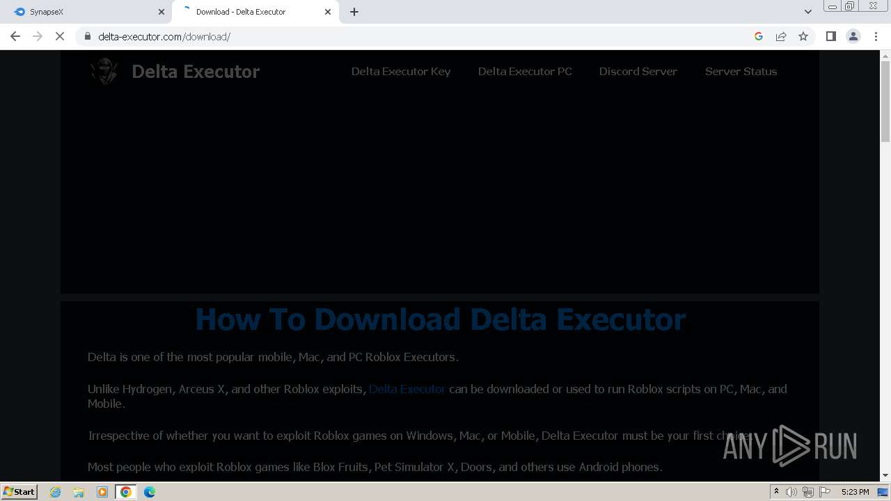 delta roblox executor pc